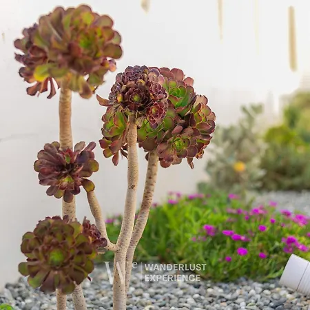 شقة Wanderlust Experience Costa Sud