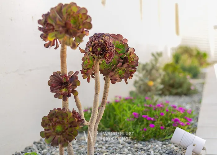 Apartamento Wanderlust Experience Costa Sud